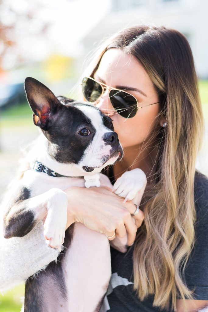 Brindle Boston terrier, Minneapolis blogger, original ray ban aviators